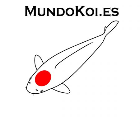 Logo MundoKoi Koi a la carte