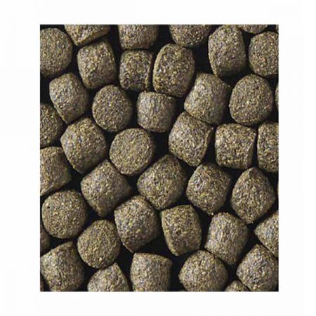 +Spirulina Kinsei - Saludable Pienso para Koi