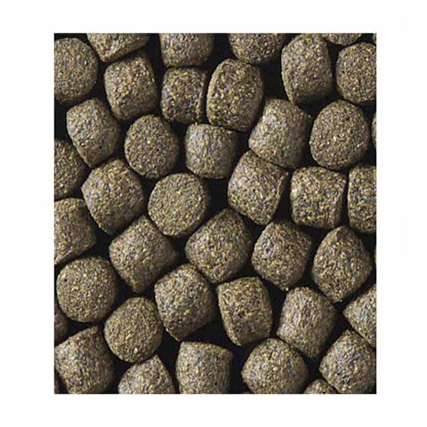 Kinsei-Spirulina-pienso-de-alta-calidad-optimo-para-koi-peces-de-estanque