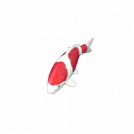 koi