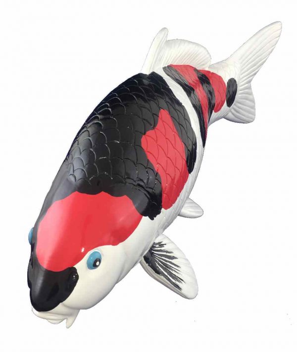 Koi Showa Replica Alabastro 85cm koi