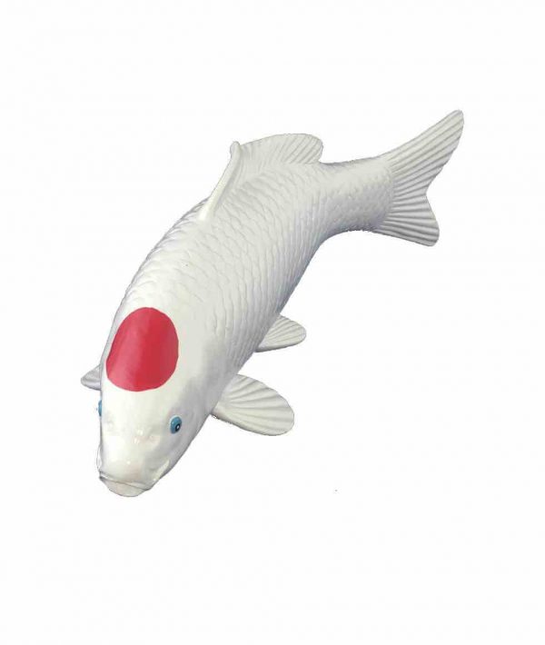 Koi Tancho Replica Alabastro 40cm koi