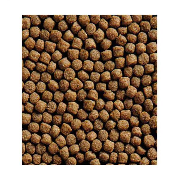 Kinsei-Wheatgerm-Germen-de-Trigo-pienso-de-alta-calidad-optimo-para-koi-peces-de-estanque