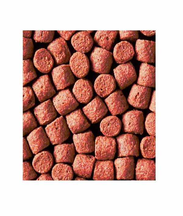 Kinsei Astax real pienso de alta calidad optimo para koi peces de estanque